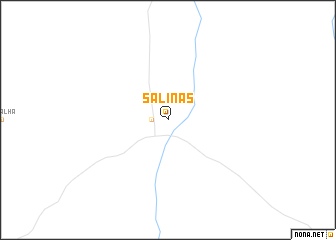 map of Salinas