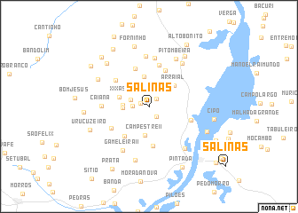 map of Salinas