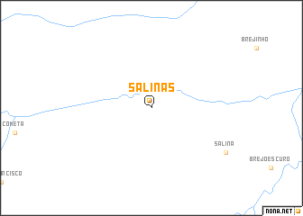 map of Salinas