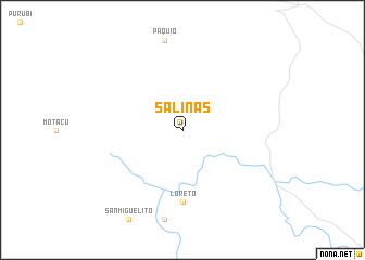 map of Salinas