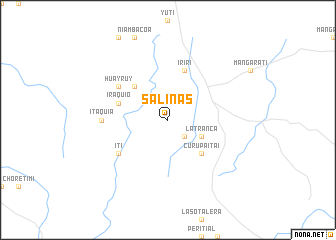 map of Salinas