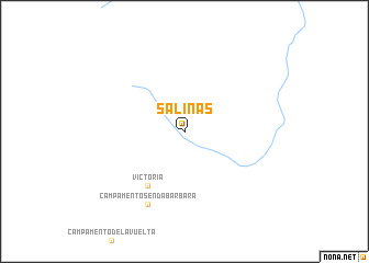 map of Salinas