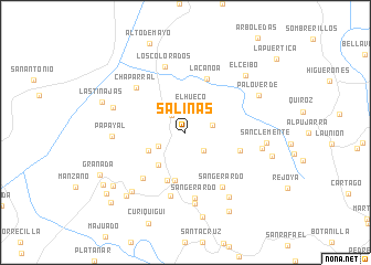 map of Salinas