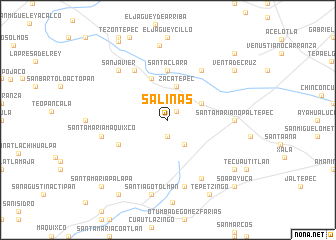 map of Salinas