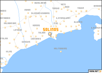 map of Salinas