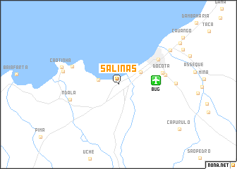 map of Salinas
