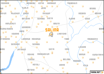 map of Salina