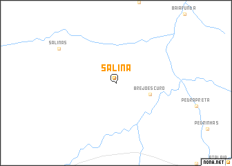 map of Salina