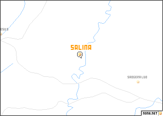 map of Salina