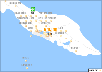 map of Saliña