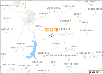 map of Salina