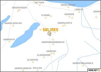 map of Salines