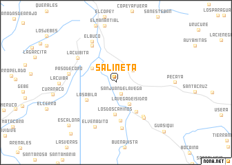 map of Salineta