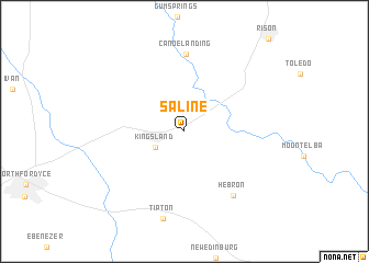 map of Saline