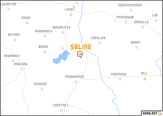 map of Saline