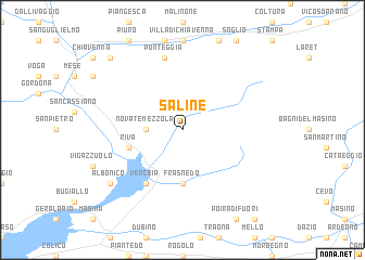 map of Saline