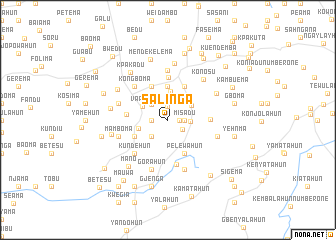 map of Salinga