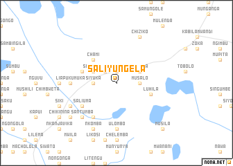 map of Saliyungela