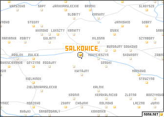 map of Sałkowice