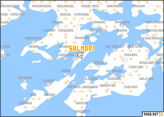 map of Salmori