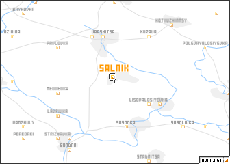 map of Salʼnik