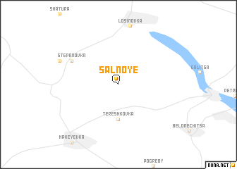 map of Salʼnoye