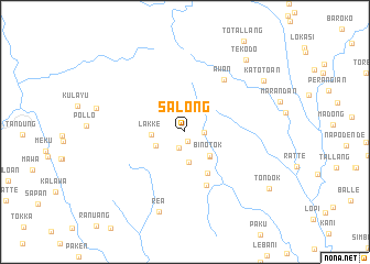 map of Salong