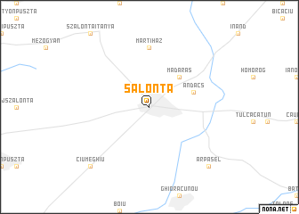 map of Salonta