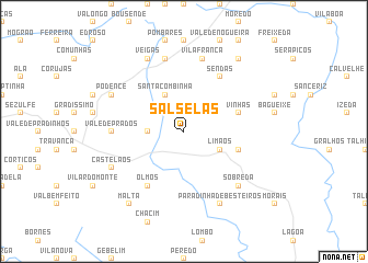 map of Salselas