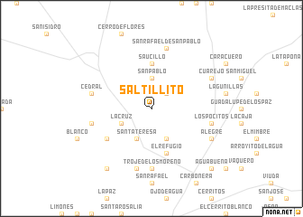 map of Saltillito