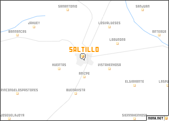 map of Saltillo