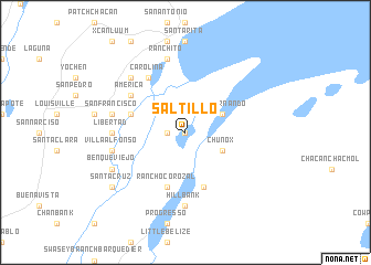 map of Saltillo
