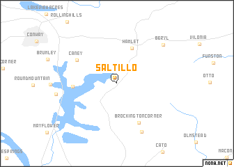 map of Saltillo