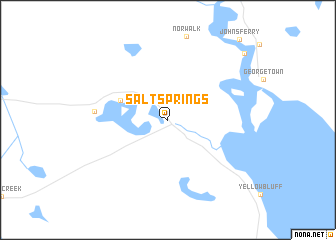 map of Salt Springs