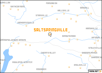 map of Salt Springville