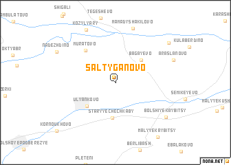 map of Saltyganovo