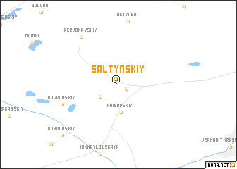 map of Saltynskiy