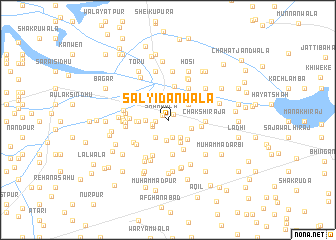 map of Salyidānwāla