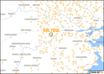 map of Salyŏul