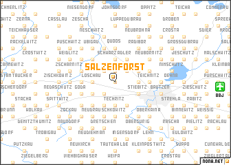 map of Salzenforst