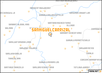 map of San Miguel Carrizal