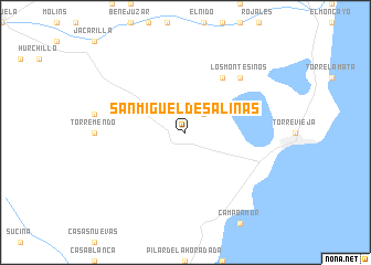 map of San Miguel de Salinas