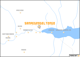 map of San Pedro del Tongo