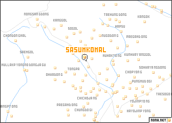 map of Sasŭmk\