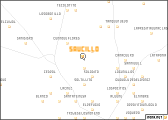 map of Saucillo