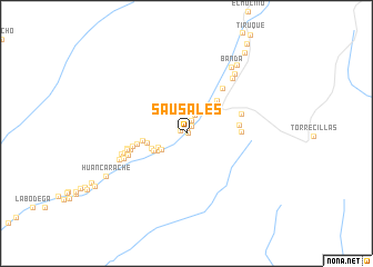 map of Sausales