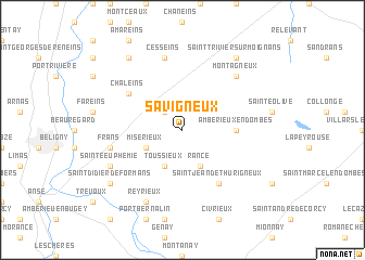 map of Savigneux