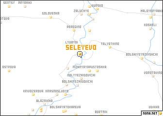 map of Seleyevo