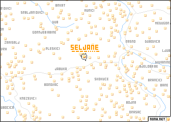 map of Seljane