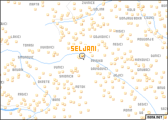 map of Seljani